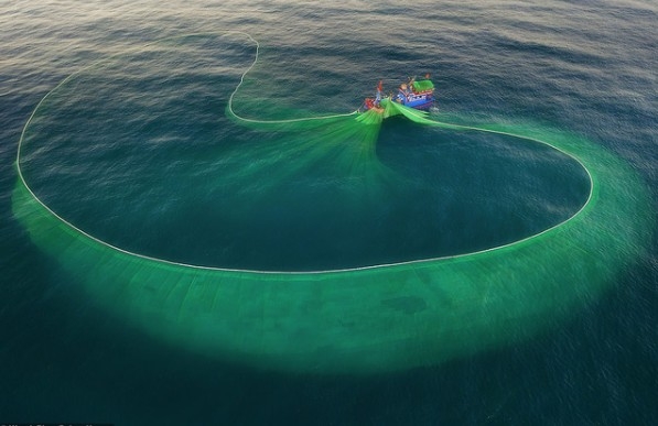 Lưới Kéo Cá Là Gì? Cấu Tạo, Nguyên Lý Hoạt Động Và Ứng Dụng Thực Tế