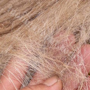 Bã bố quấn ống ren pccc 1