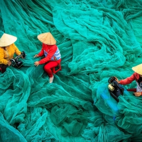 🌟 BÙNG NỔ NHU CẦU LƯỚI BAO BÌ 2025: TOP CÁC LOẠI LƯỚI ĐƯỢC SĂN ĐÓN NHẤT HIỆN NAY