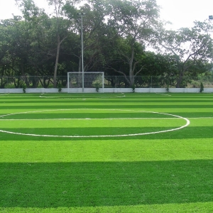 5 Lý Do Cỏ Nhân Tạo Là Giải Pháp Xanh Hoàn Hảo Cho Không Gian Hiện Đại