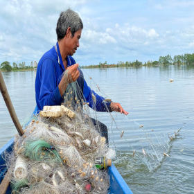 Hướng dẫn chi tiết cách sử dụng lưới bén ba màn Hướng dẫn chi tiết cách sử dụng lưới bén ba màn