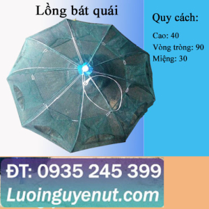 Lồng bát quái bắt cá