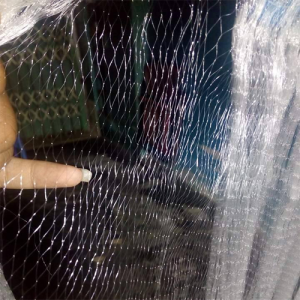 Lưới cá lòng tong