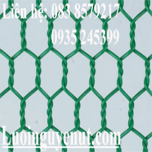 Lưới kẽm bọc nhựa