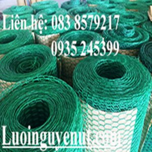 Lưới kẽm bọc nhựa