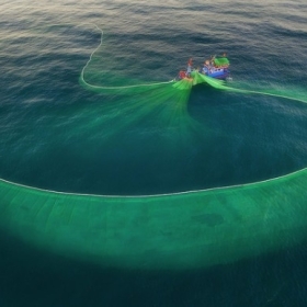 Lưới Kéo Cá Là Gì? Cấu Tạo, Nguyên Lý Hoạt Động Và Ứng Dụng Thực Tế