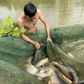 Lưới Kéo Cá – Người Bạn Thầm Lặng Của Ngư Dân Việt Lưới Kéo Cá – Người Bạn Thầm Lặng Của Ngư Dân Việt
