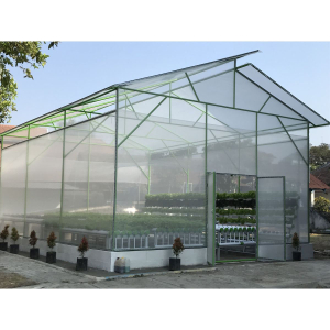 Lưới mùng trắng