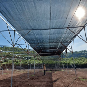 Ứng dụng của Lưới Lan