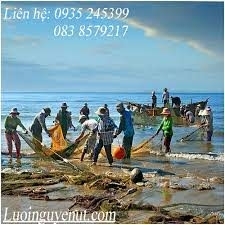 Vì sao nên đặt lưới kéo cá ở ao tại NGUYỄN ÚT